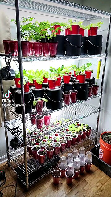 Indoor gardening diy