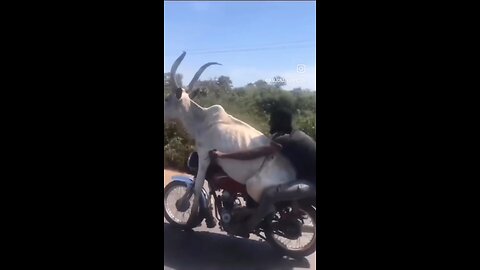 WAIT FOR END🤣🤣 my first bar Uber travel👈🤣 #shorts #trending #viral