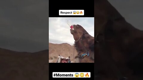 Respect 😱😳🔥 #Respect #shorts #viral #amazing#respectmoments #viral khaby lame #khabylameReaction 😱👍