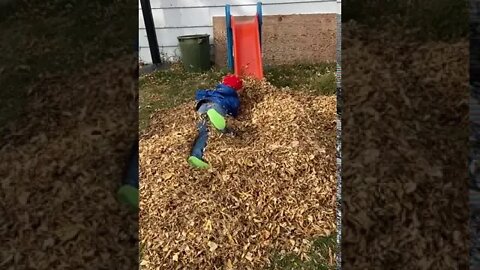 Son's Leaf Pile Surprise