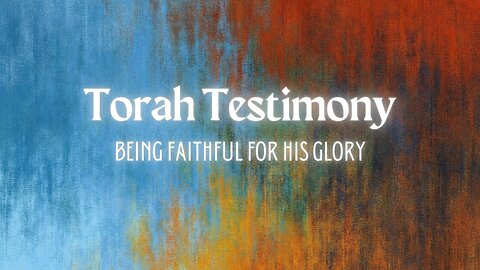 Torah Testimony - Bridal Armor