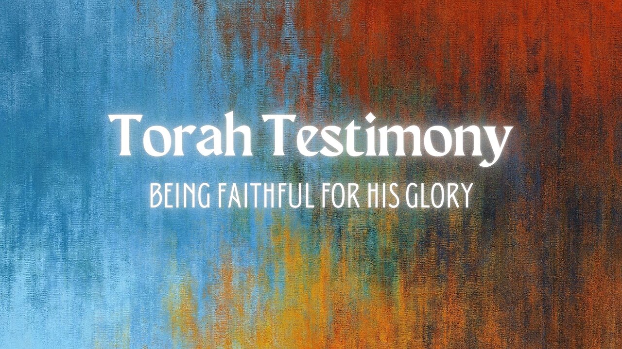 Torah Testimony - Bridal Armor