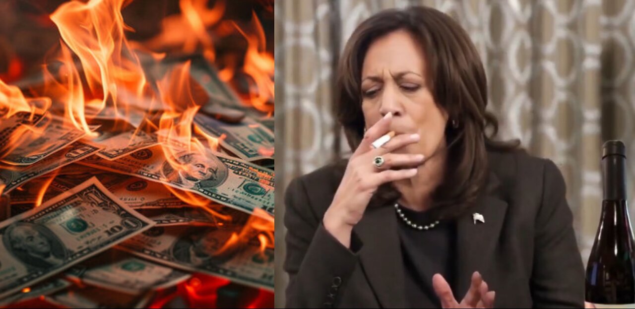 Big Donors Give Inside Account Of Kamala Harris Campaign Failing