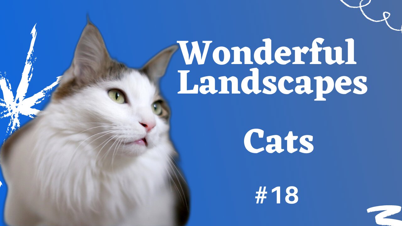 Wonderful Feline Pictures - (Wonderful Landescapes #18)