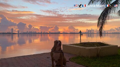 🇺🇸🦅🇫🇷 Lever de soleil à Miami & Spécial message ❤️🙏❤️