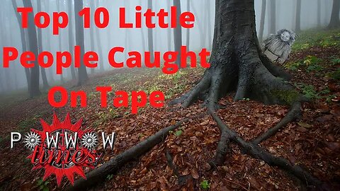 Top 10 Little People Caught On Tape | Powwow Times
