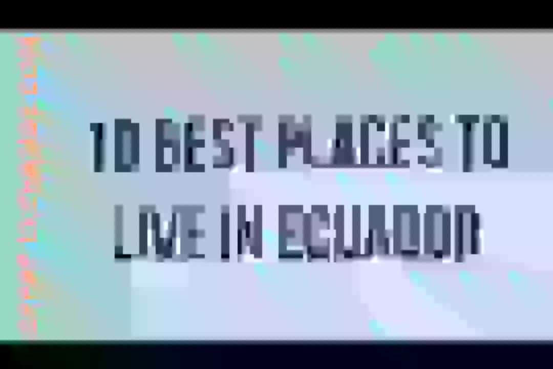 6321289 video6319911
