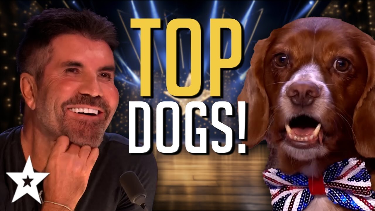 Ep 1: Dogs' Got Talent! The Most ADORABLE and HILARIOUS Dog Auditions EVER!