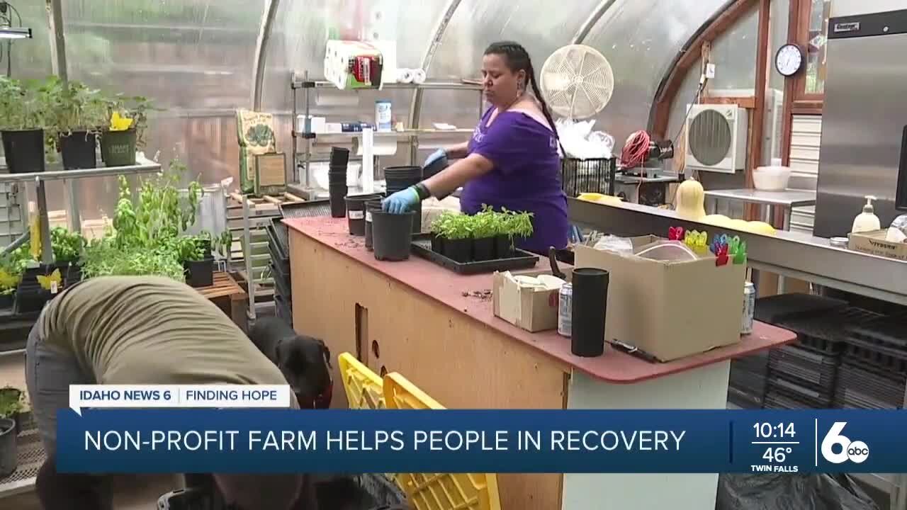 Finding Hope tease: Boise Vertical Farm