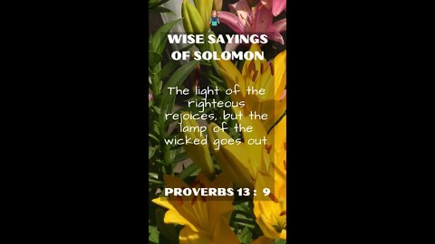 Proverbs 13:9 | Wise Sayings of Solomon