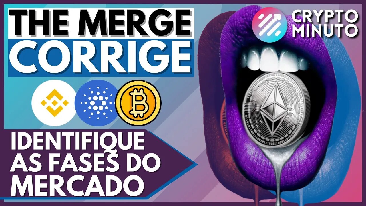 MERGE CAI 11% - CZ ALERTA - NOVA QUEDA - IDENTIFIQUE O MERCADO - GOOGLE BNB - CRIPTO NOTÍCIAS HOJE