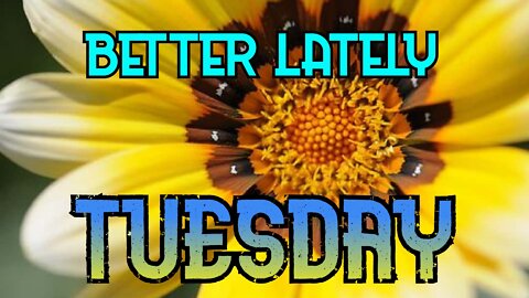 Better Lately - Tuesday