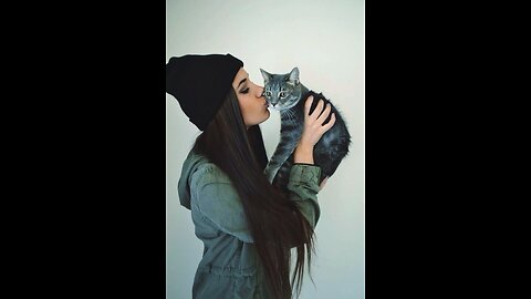 Cute kittens