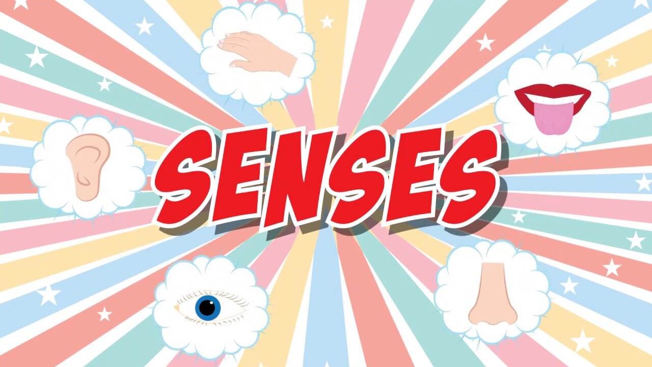 Five Senses Song | Fun Educational Video For Kids