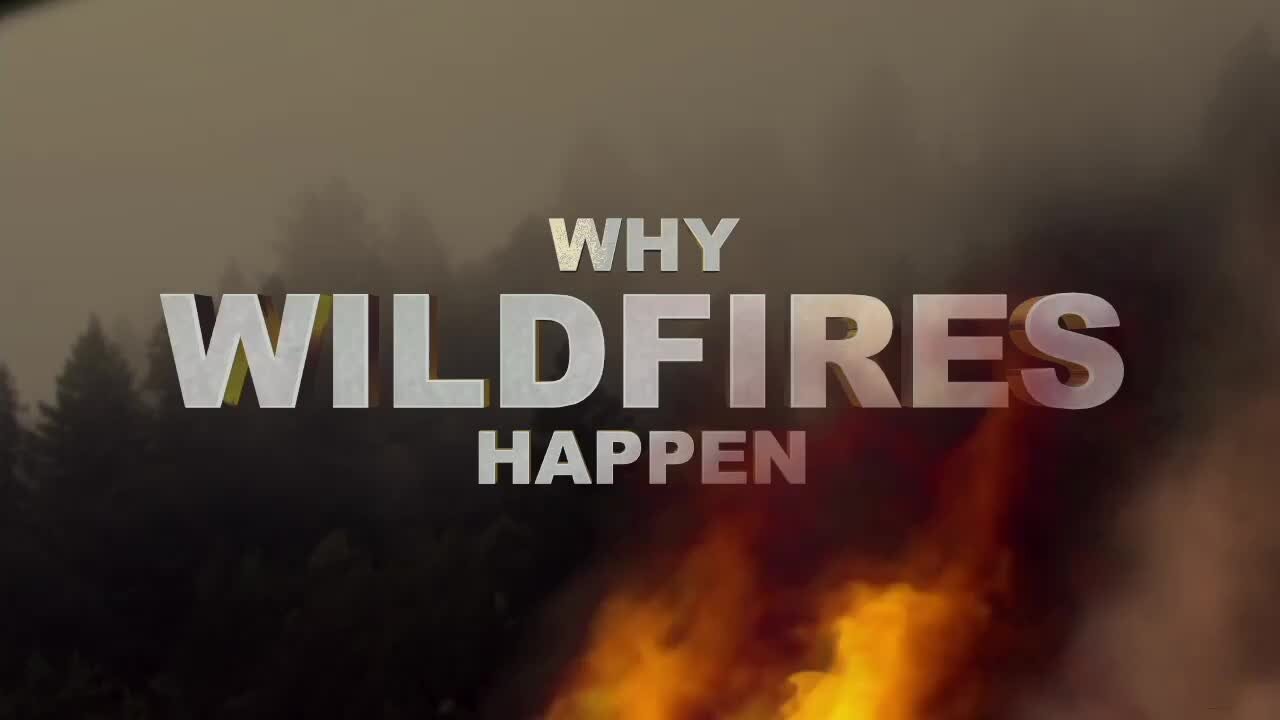 Michigan in extreme fire danger, what that means and why wildfires happen