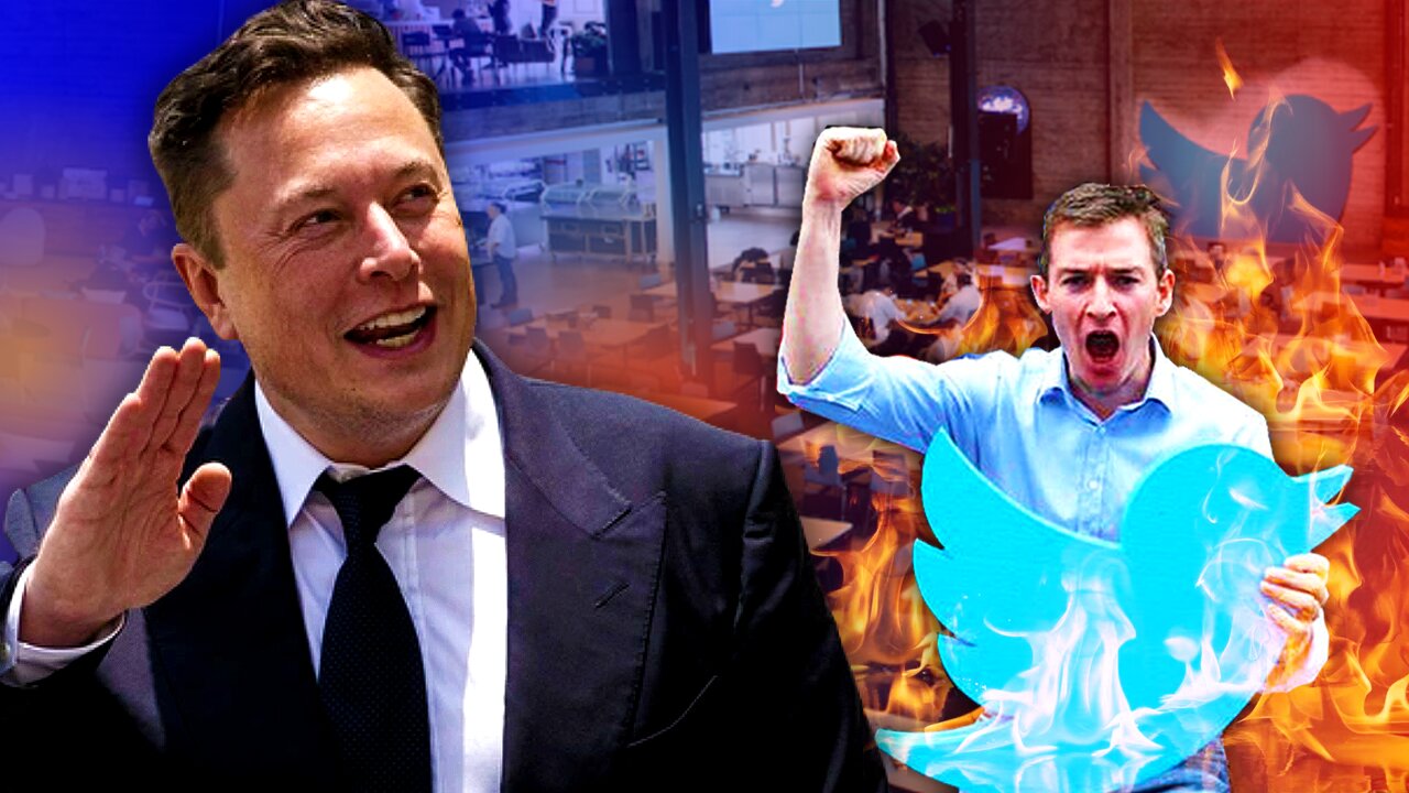 How Elon Musk's Takeover Is Inspiring Business To Fight Back Against WOKE Cancel Culture!!