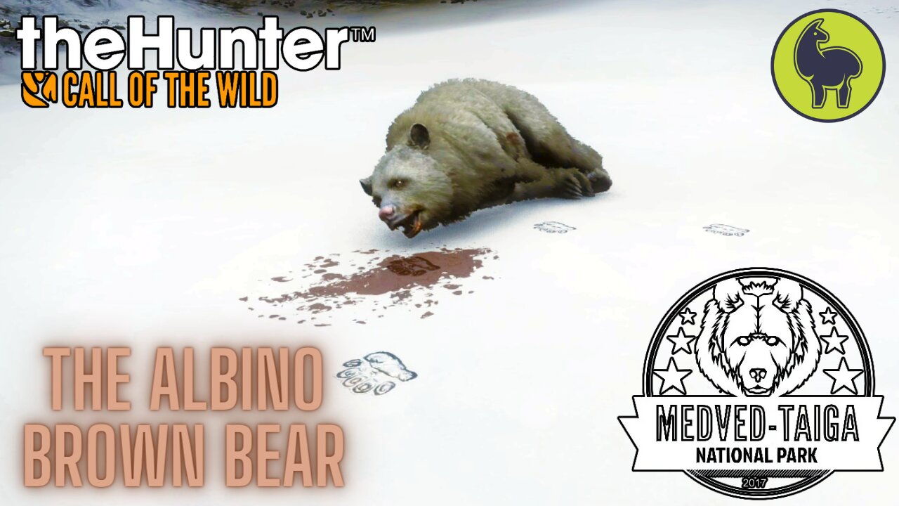 The Albino Brown Bear, Medved Taiga | theHunter: Call of the Wild (PS5 4K)