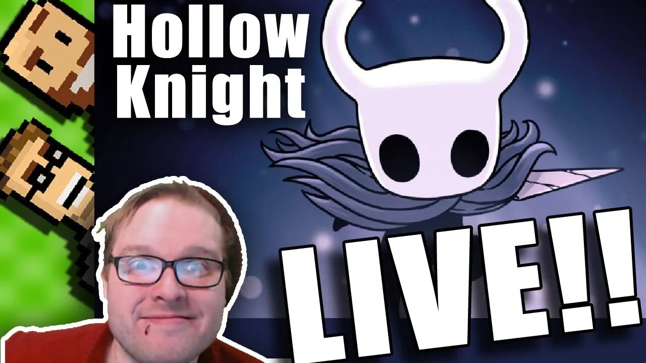 Hollow Knight - 100% Challenge Series