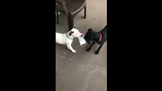 Properly disposing of a mask￼