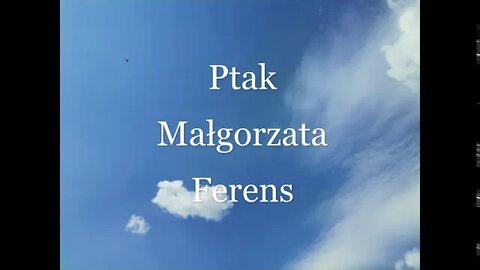 Ptak - Małgorzata Ferens