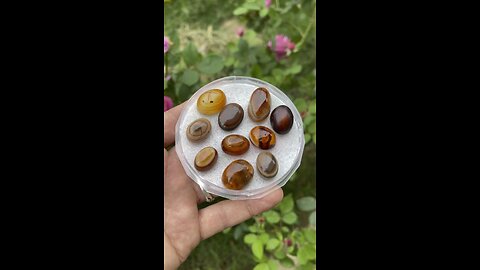 احجار برج الاسد