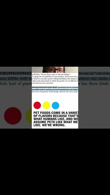 The real reason cats loves kibble #shorts