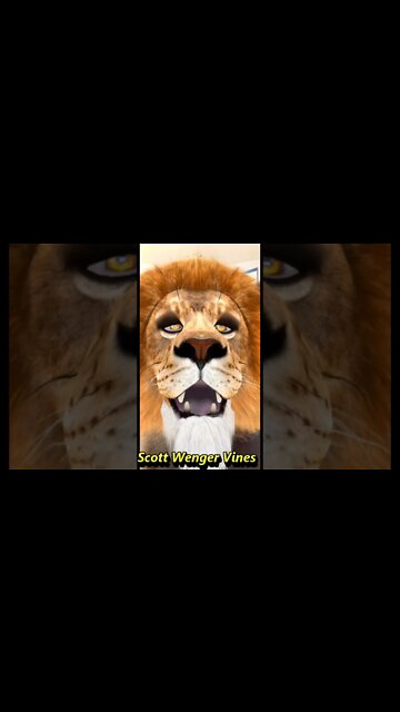 UHHHWINGAWHAT AAAWINGAWAT IN the youtube world