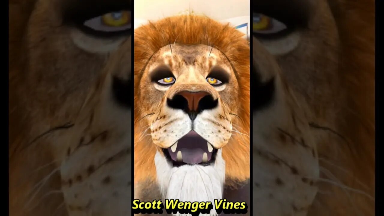 UHHHWINGAWHAT AAAWINGAWAT IN the youtube world