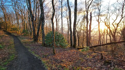 Appalachian Trail 5