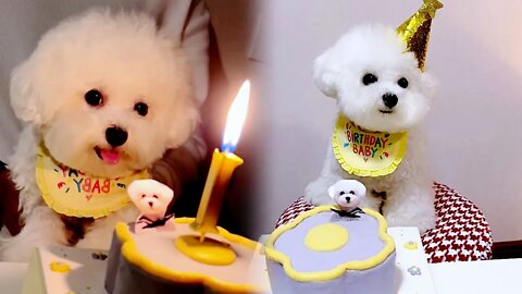 ..Happy birthday,