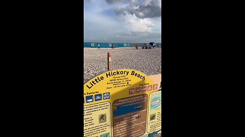 Livestream Replay | Little Hickory Beach