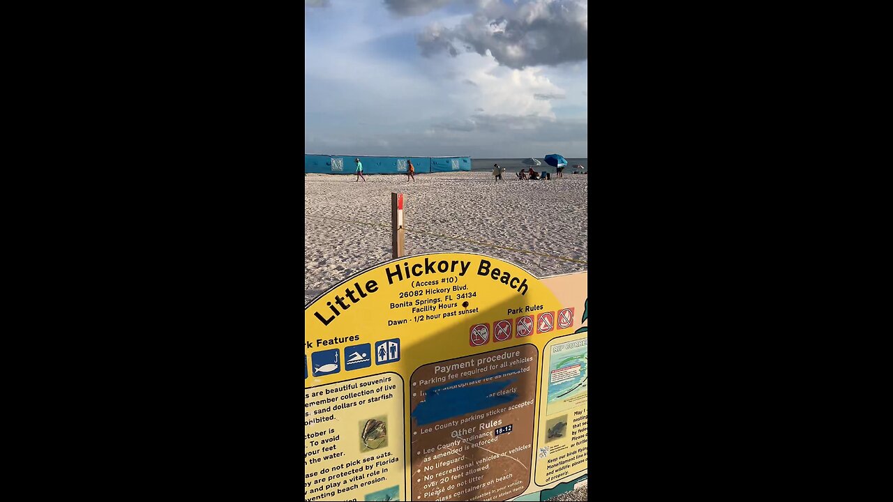 Livestream Replay | Little Hickory Beach