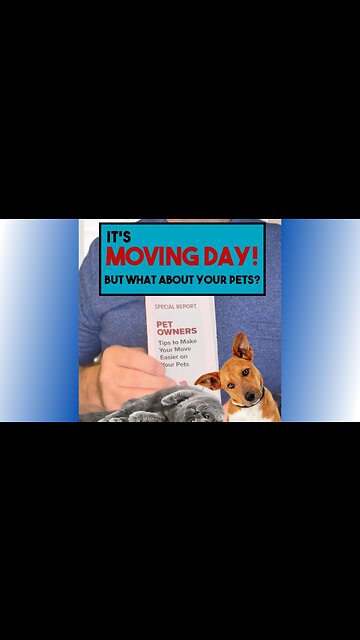 It’s Moving Day! But What About Your Pets?