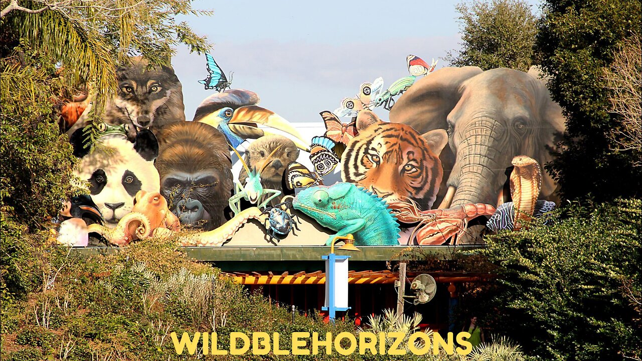 45 Painful Last Moments Of Wild Animals - Wildlife Moments
