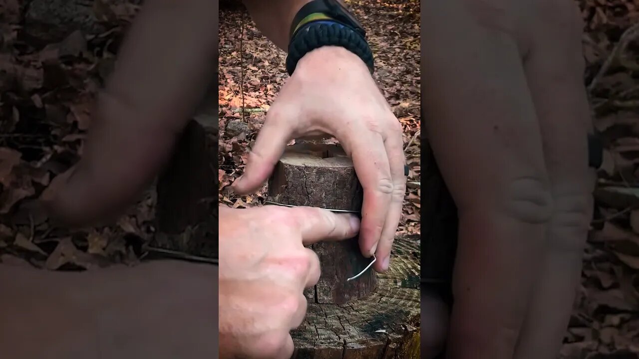 Making a Mini Tree Torch - Survival Skill