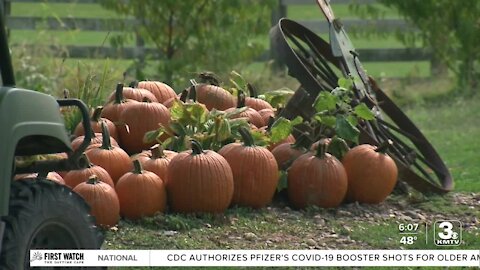 Bellevue Berry Farm features all things fall