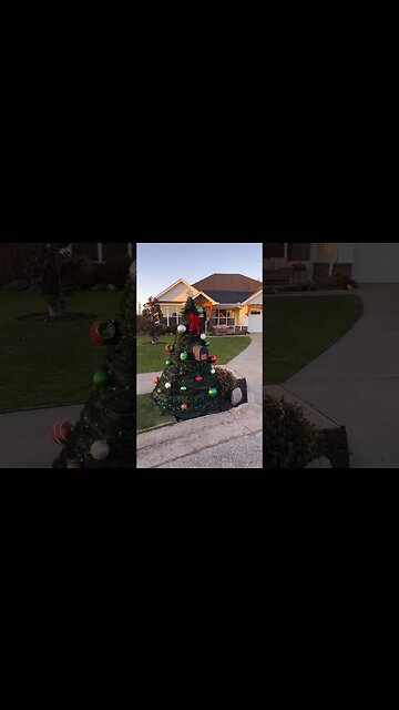 You’ve NEVER Seen a Christmas Tree Mailbox … Until Now…