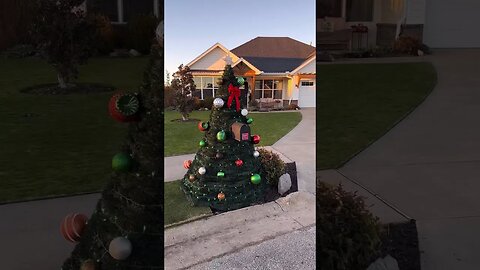 You’ve NEVER Seen a Christmas Tree Mailbox … Until Now…