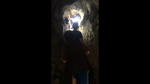 Walking Through a Fallen Sequoia