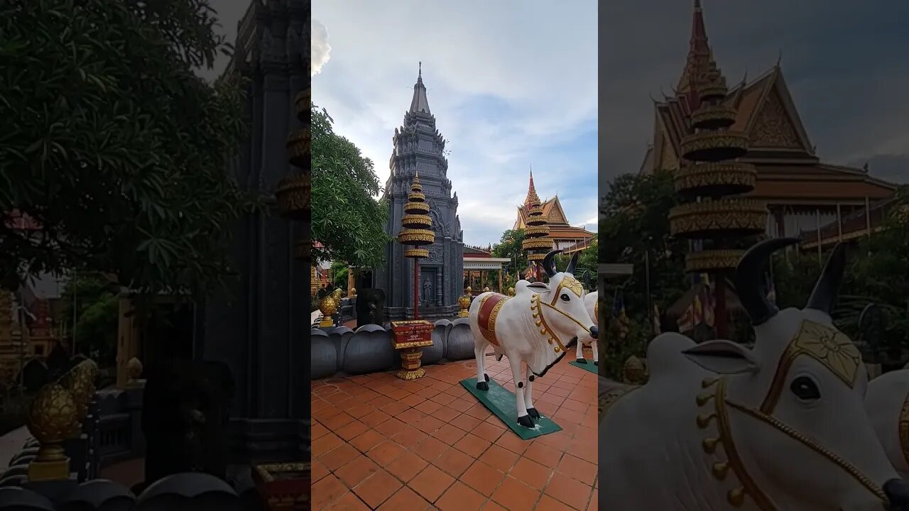 Wat Preah Prom Rath Siem Reap Cambodia 🇰🇭 #shorts #cambodia #siemreap #temple