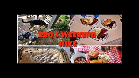 Sunday BBQ with Family *Weekend Hike* Blueberry Crumb Bars | Family of 5 |