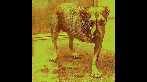 Alice in Chains - Again
