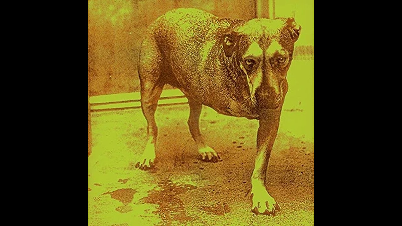 Alice in Chains - Again