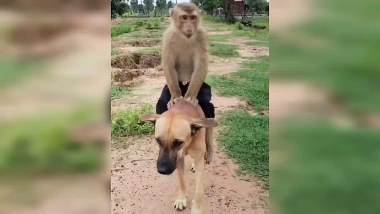 Close friends forever 🤣🤣🤣