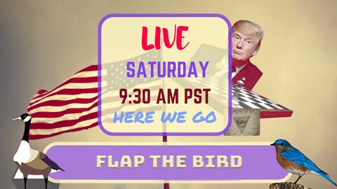 Saturday *LIVE*: Flap The Bird Edition