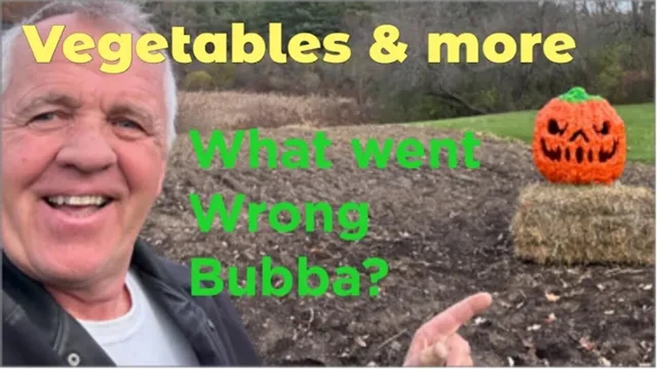 What’s wrong with my Vegetable Garden? Bad harvest.part 2