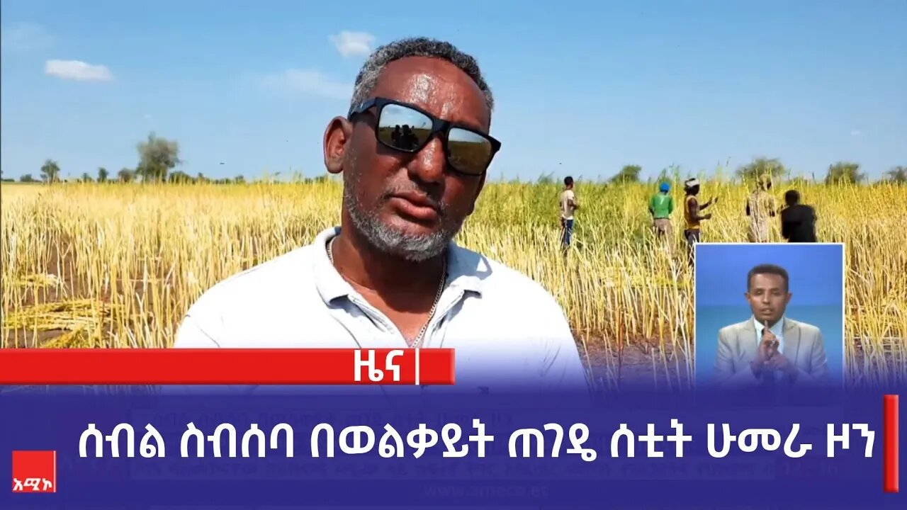 ሰብል ስብሰባ በወልቃይት ጠገዴ ሰቲት ሁመራ ዞን