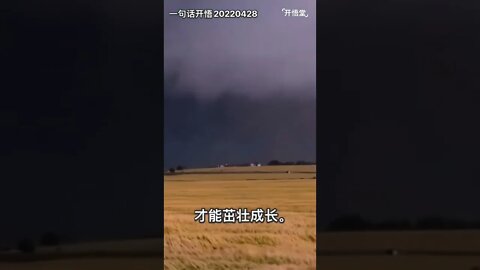 一句话开悟20220428