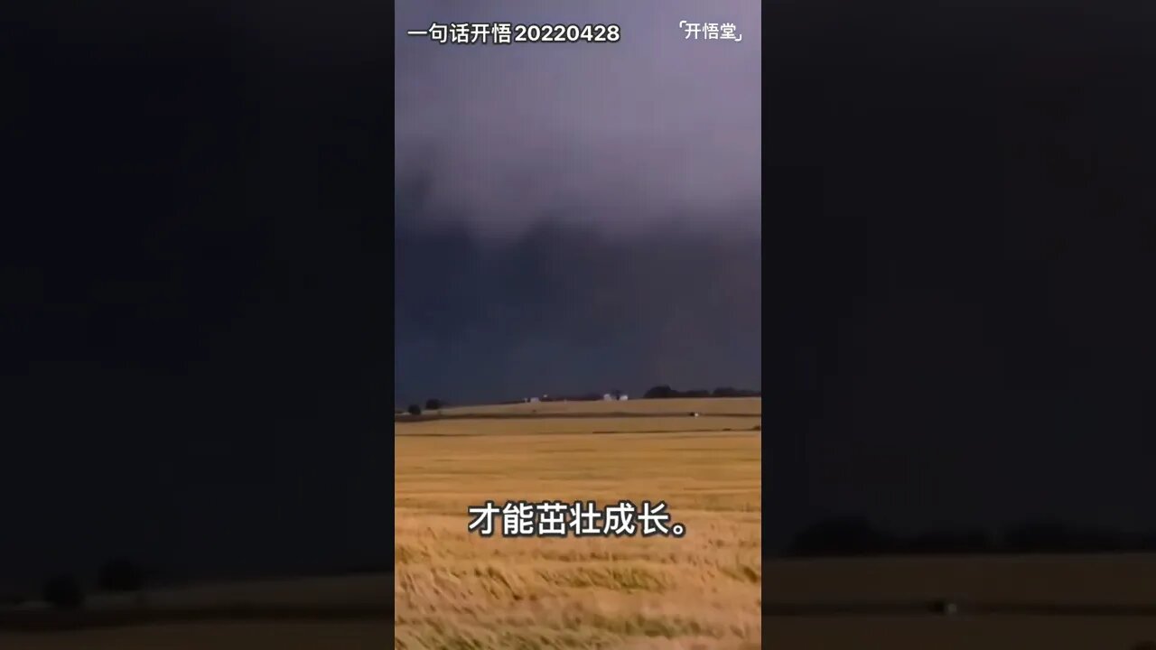 一句话开悟20220428