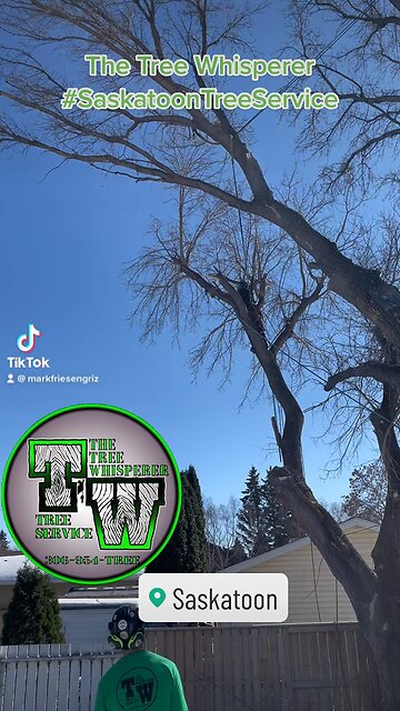 #TheTreeWhisperer #TreeService #Saskatoon